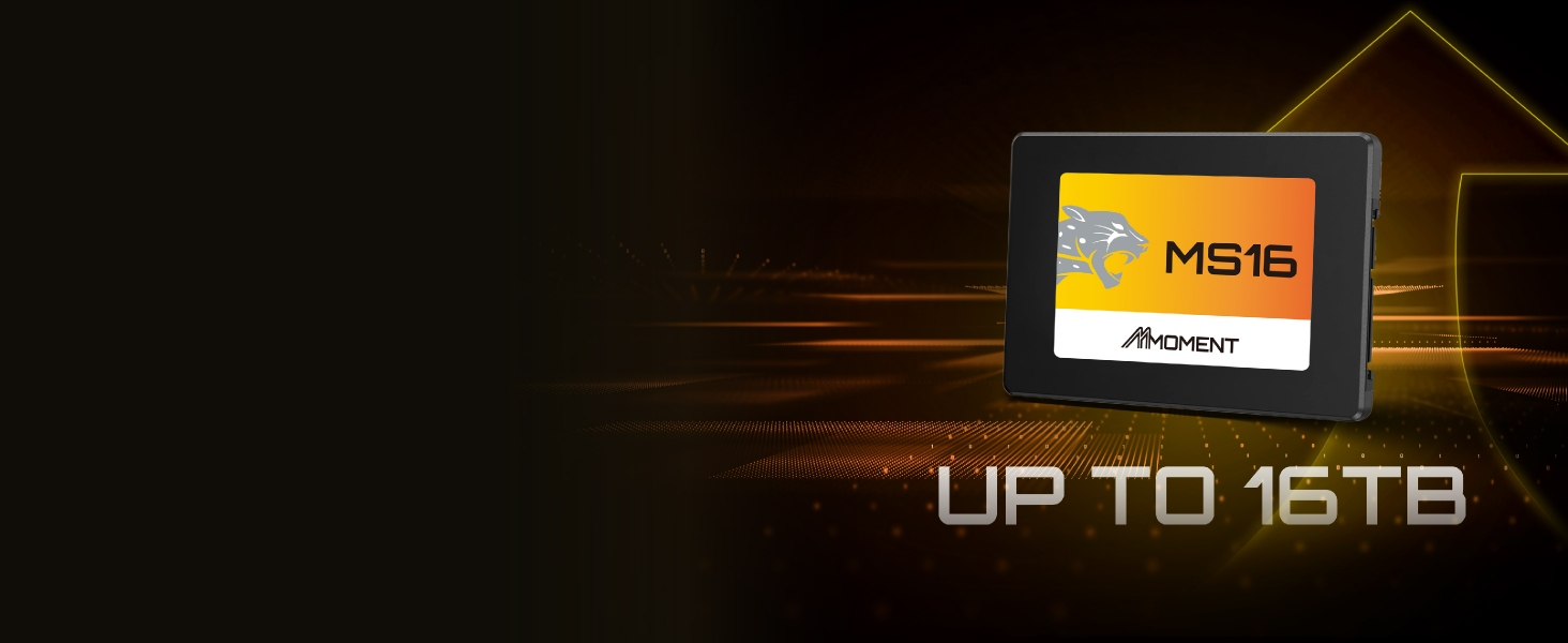 Amazon A+_MMOMENT_SSD-MS16-豹版_PC-01 Amazon A+_MMOMENT_SSD-MS16-豹版_PC-01